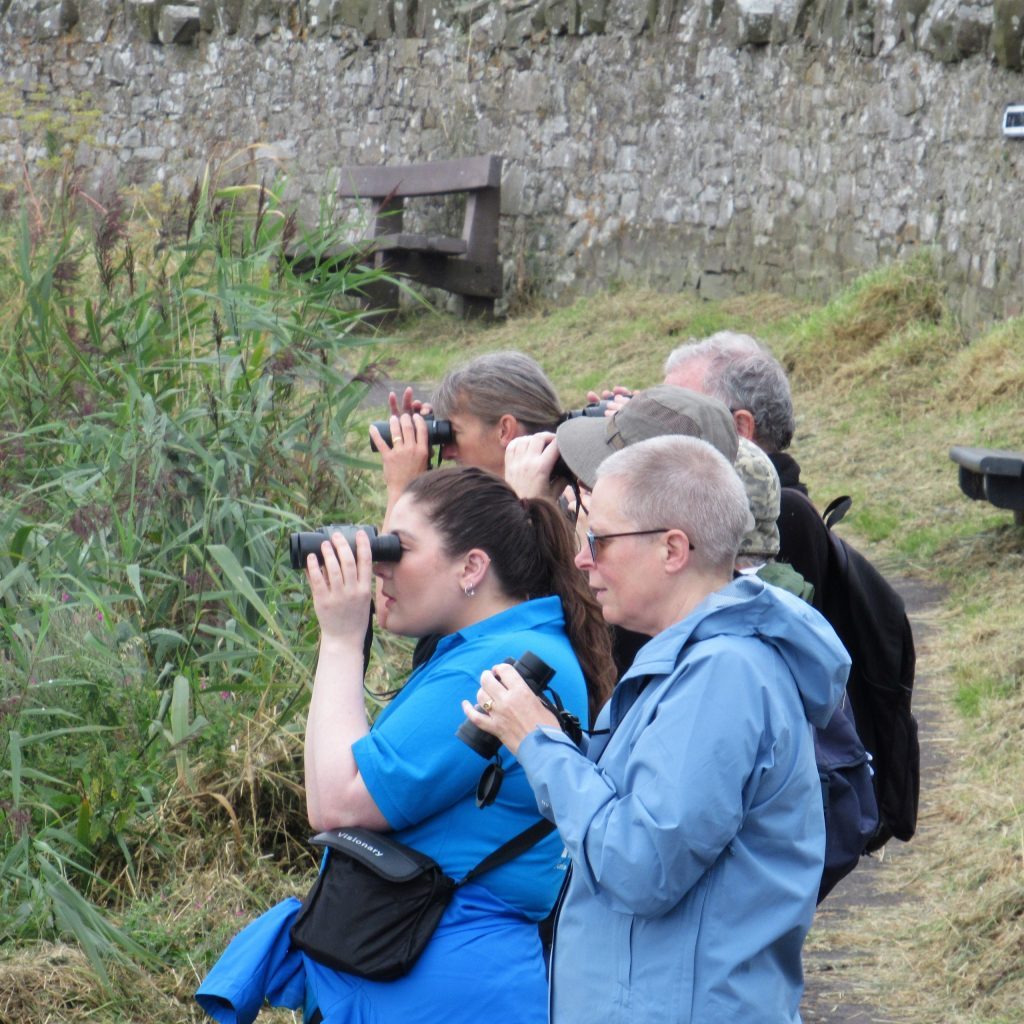 A group of people birdwatching from the Berwickshire Coastal Path
