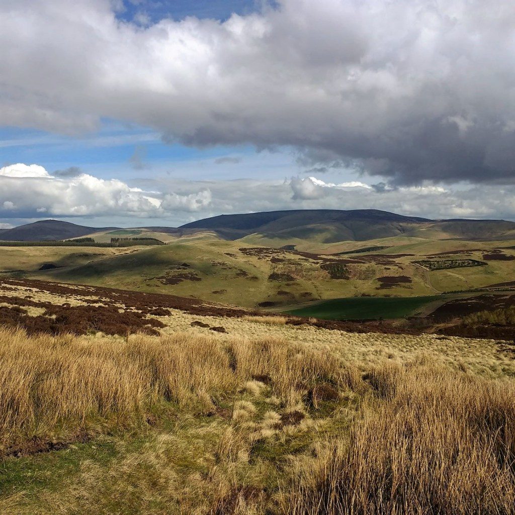 View of the Cheviot